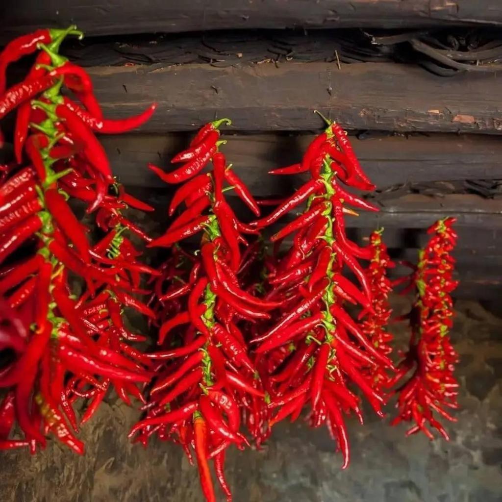 Las Casas De Lola Candeleda Buitenkant foto